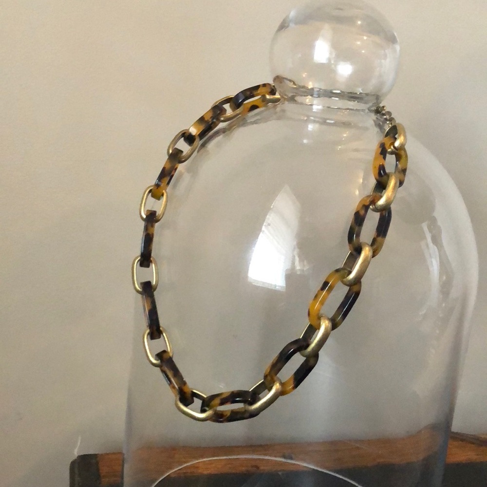 Chloe and Isabel tortoise shell necklace